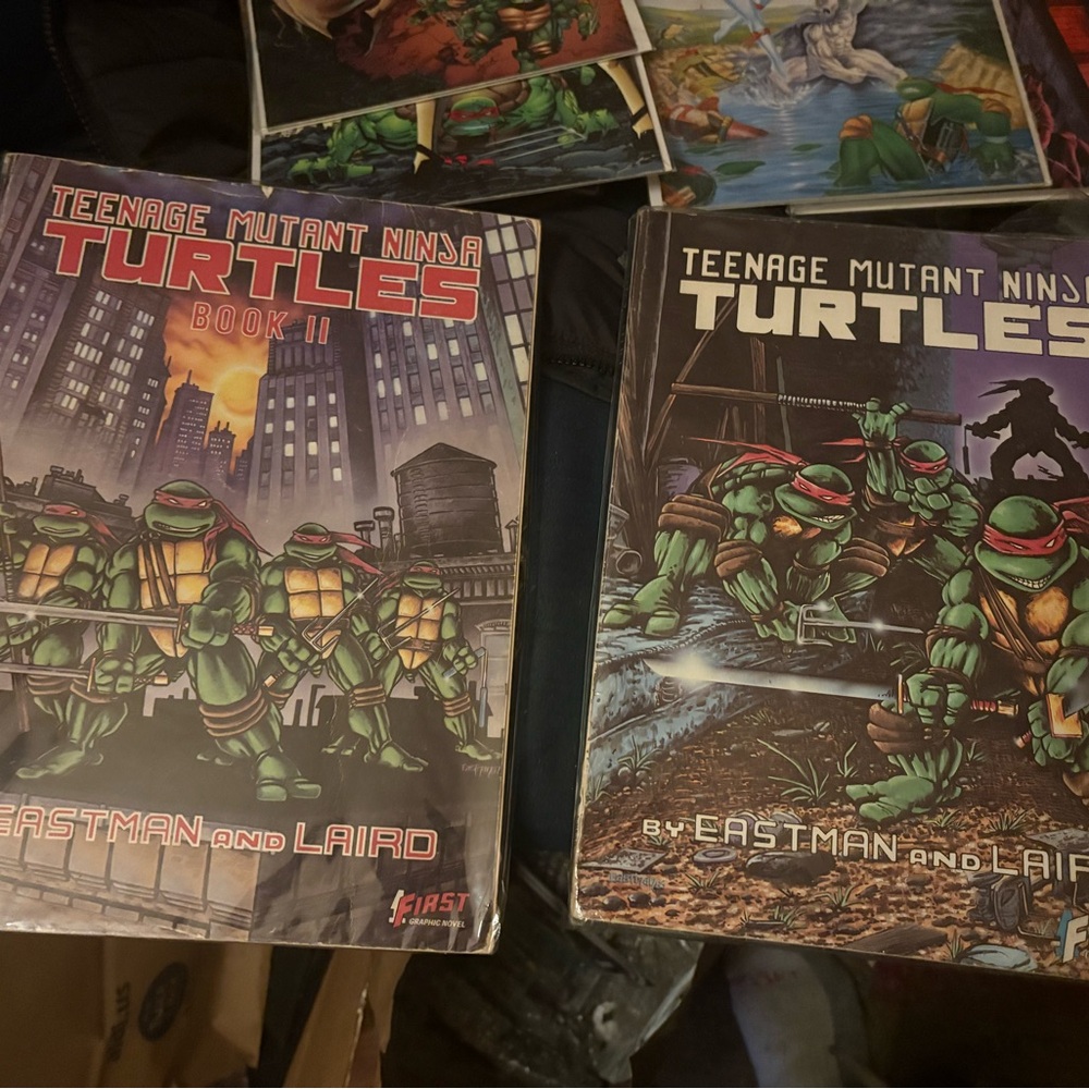 TMNT Comic Lot